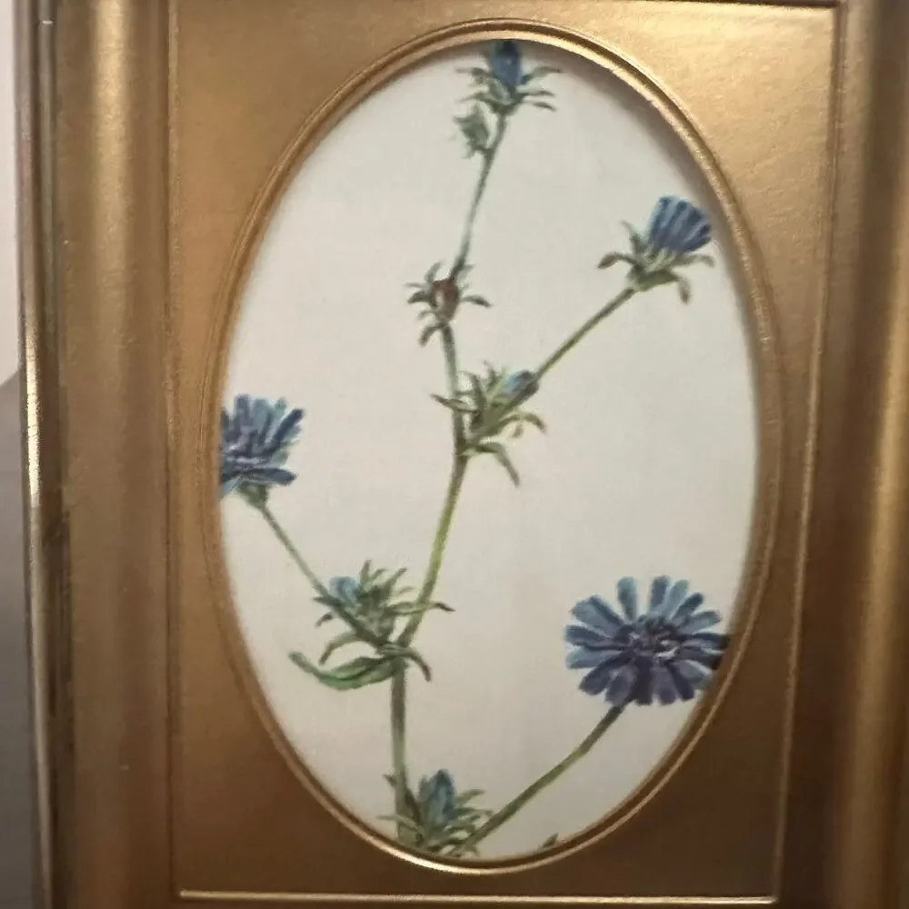 American Vintage cottagecore gold
